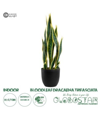 GloboStar® Artificial Garden BLOODLEAF DRACAENA TRIFASCIATA 20060 Τεχνητό Διακοσμητικό Φυτό Αιματόφυλλη Σανσεβιέρια Υ70cm